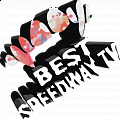Best Speedway Tv